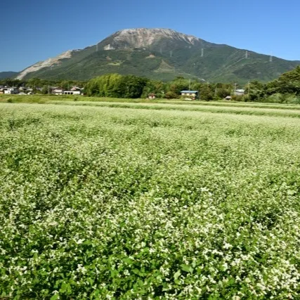札幌市北区あいの里で、法律の専門的サポートをお探しの皆様へ。
