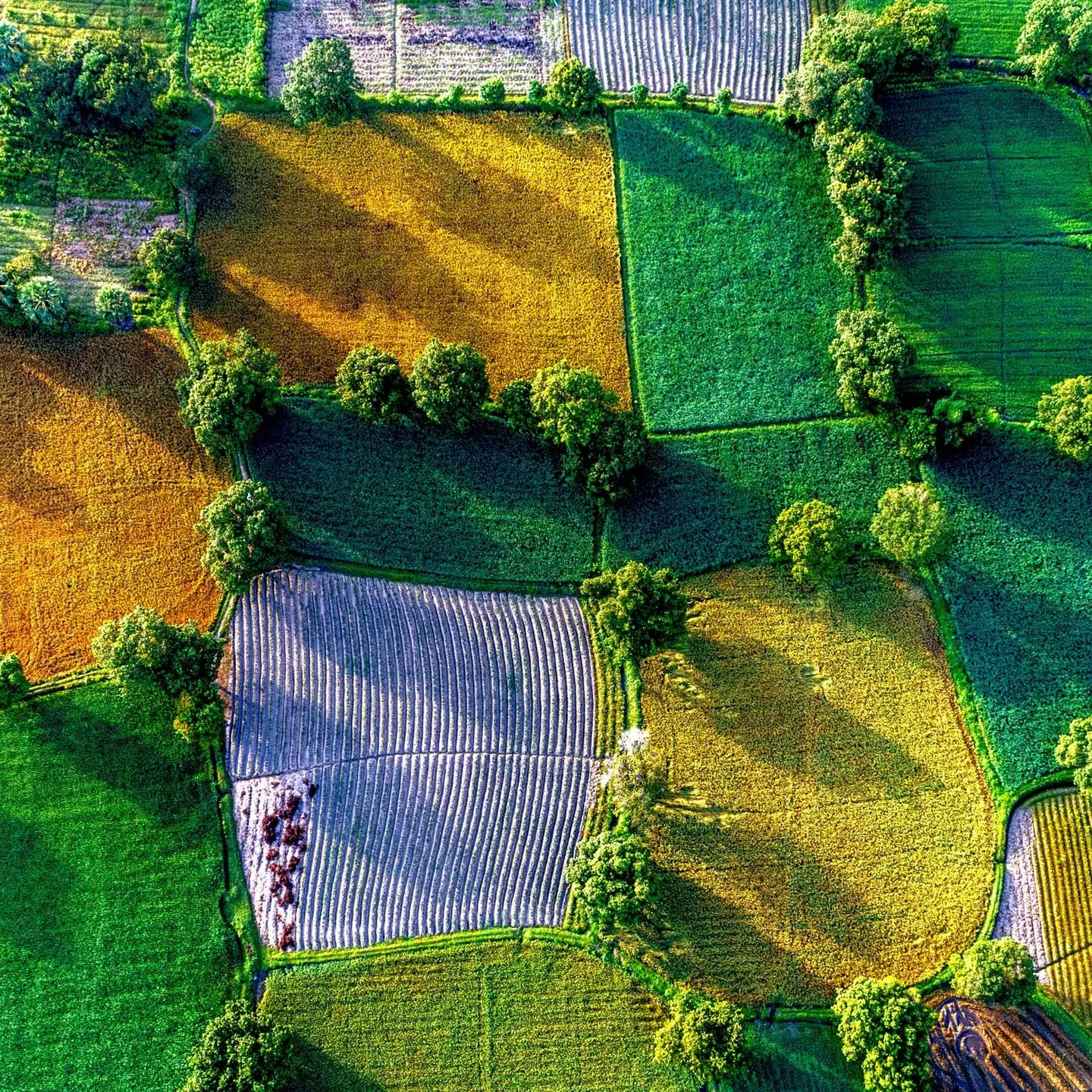 札幌市北区にお住みの皆さま、相続登記の義務化が始まってから早...